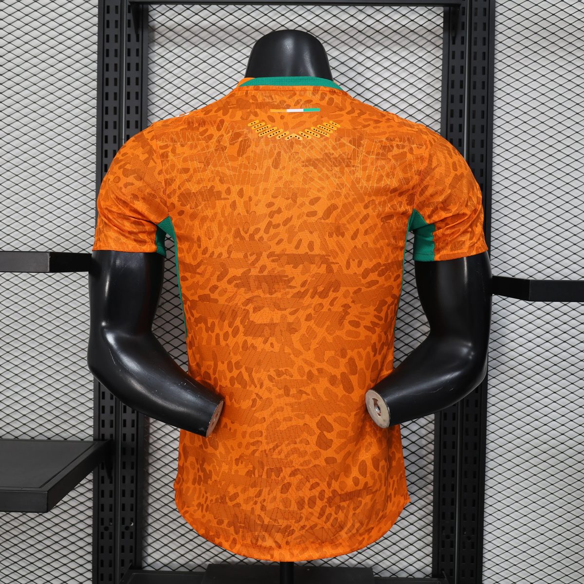 Maillot Côte d'Ivoire Domicile 2026 : porté